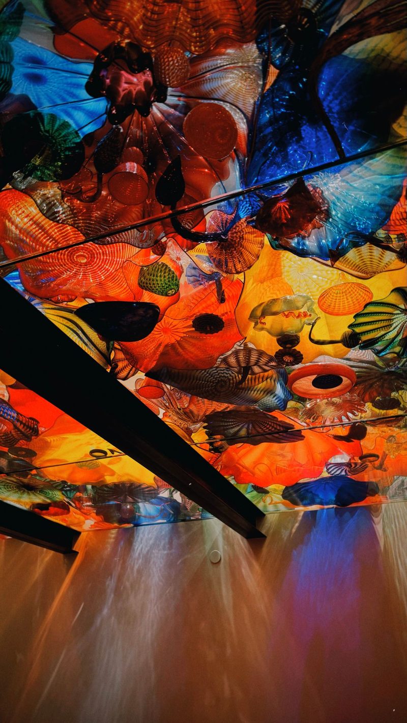 A colourful blown-glass sculpture ceiling installation in reds, blues, and yellows