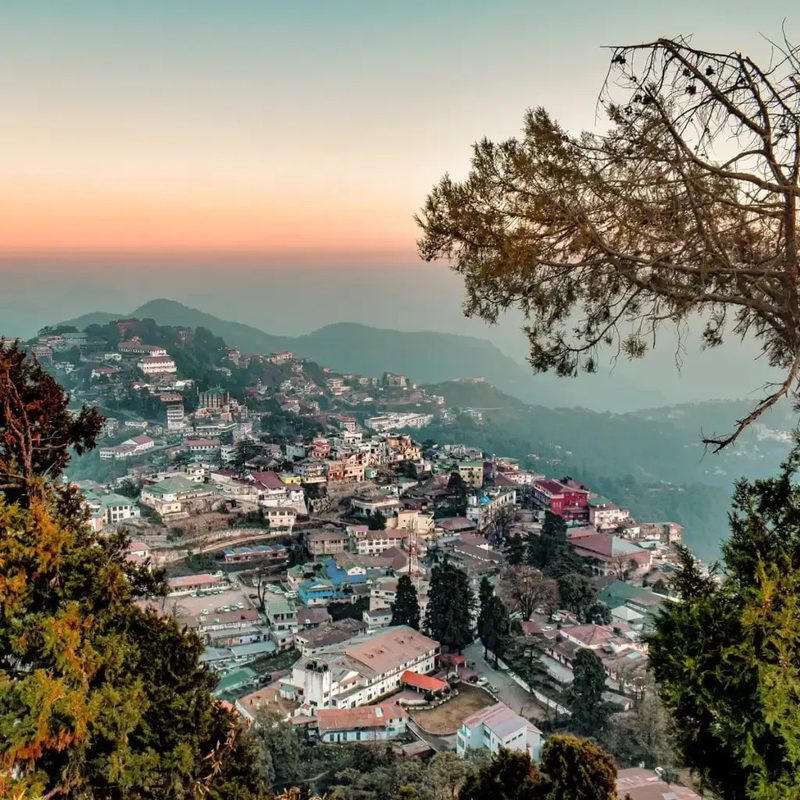 A hillside town at sunset, colourful rooftops spilling down a foggy mountain ridge, framed by pine branches